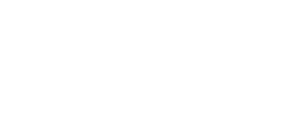 زودی وب